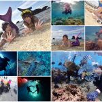 今日熱門文章：沖繩青之洞窟潛水．My Diving，深潛、浮潛、美人魚體驗，海邊玩翻天！