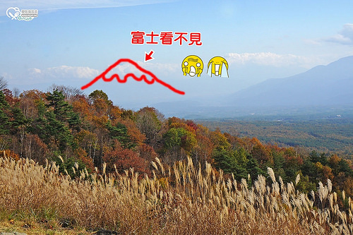 富士見高原渡假村（搭乘遊園車欣賞紅葉・富士山），可是我們富士看不見（哭哭） @愛吃鬼芸芸
