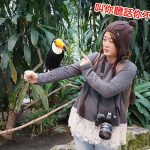 今日熱門文章：島根旅遊．松江貓頭鷹花園，好多鳥兒玩瘋啦！
