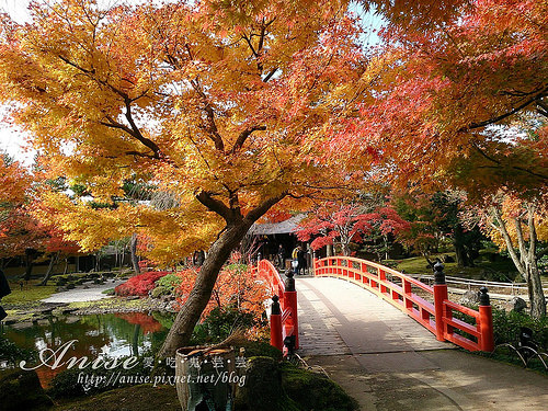 島根旅遊．由志園，美麗的日式庭園 @愛吃鬼芸芸