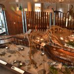 今日熱門文章：國立台灣博物館與土銀展示館，哎啊有恐龍！