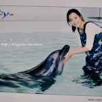 今日熱門文章：濟州島景點．MrinePark海洋公園與海豚親密接觸