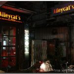 今日熱門文章：98.02.26  永康街美食 — AlleyCat’s + 金雞園