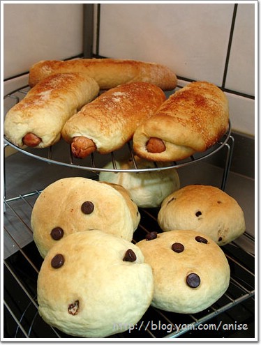 【食譜】帕美森德國香腸起司麵包+ 巧克力麵包 ( 中種法 ) @愛吃鬼芸芸