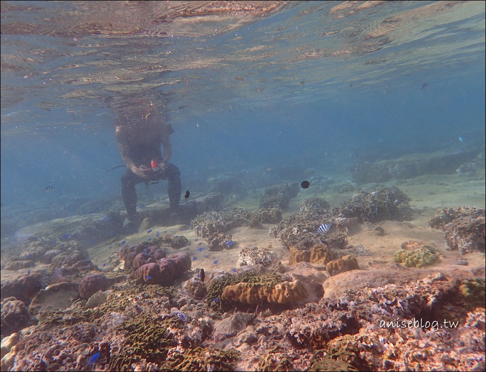 沖繩青之洞窟潛水．My Diving，深潛、浮潛、美人魚體驗，海邊玩翻天！