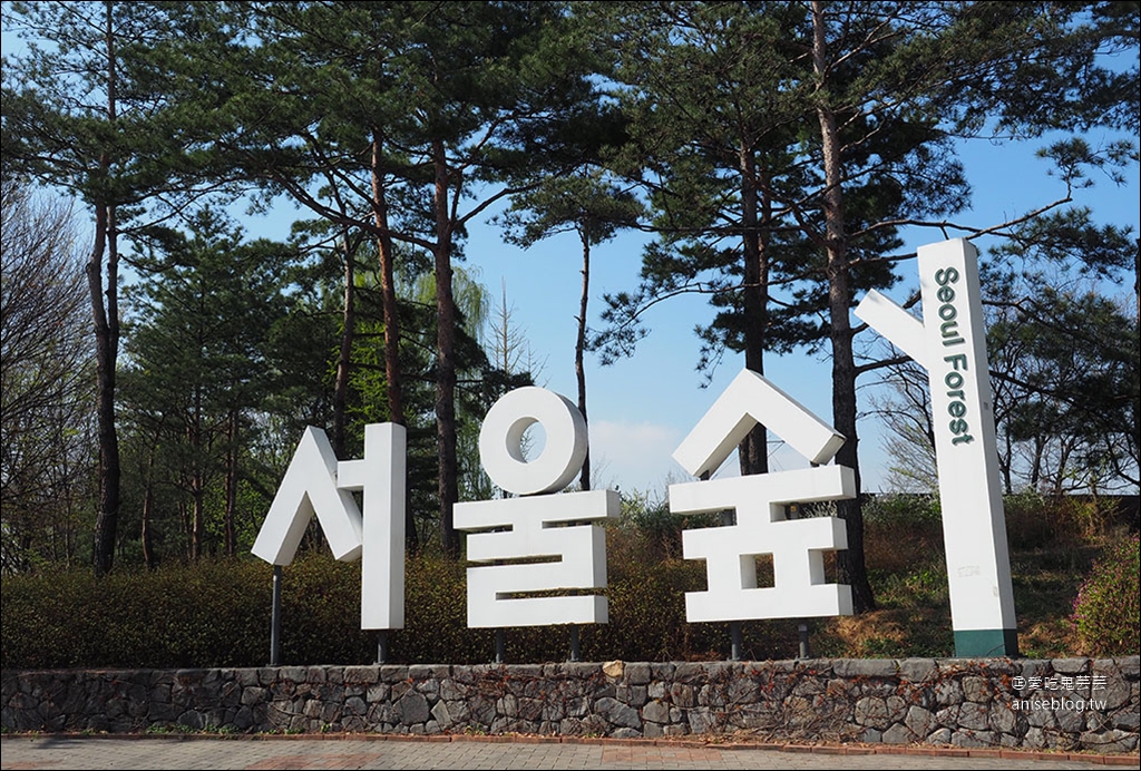 首爾櫻花景點 | 石村湖、汝矣島、首爾森林