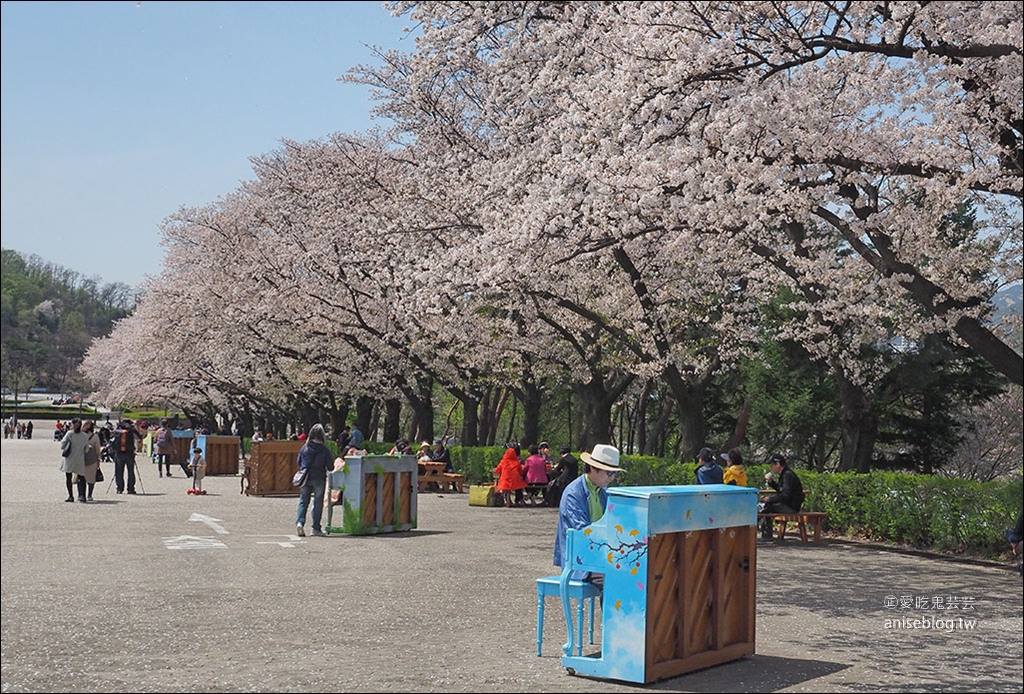 首爾賞櫻一日遊：夢想森林、首爾大公園、賽馬公園
