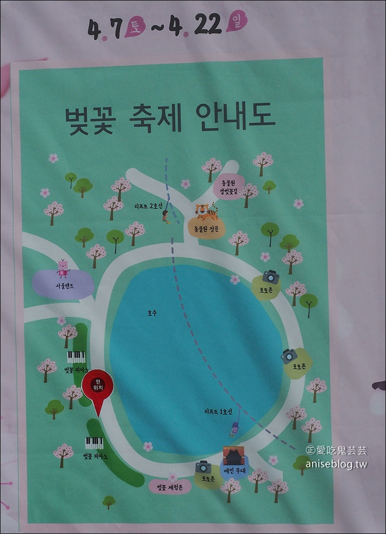 首爾賞櫻一日遊：夢想森林、首爾大公園、賽馬公園