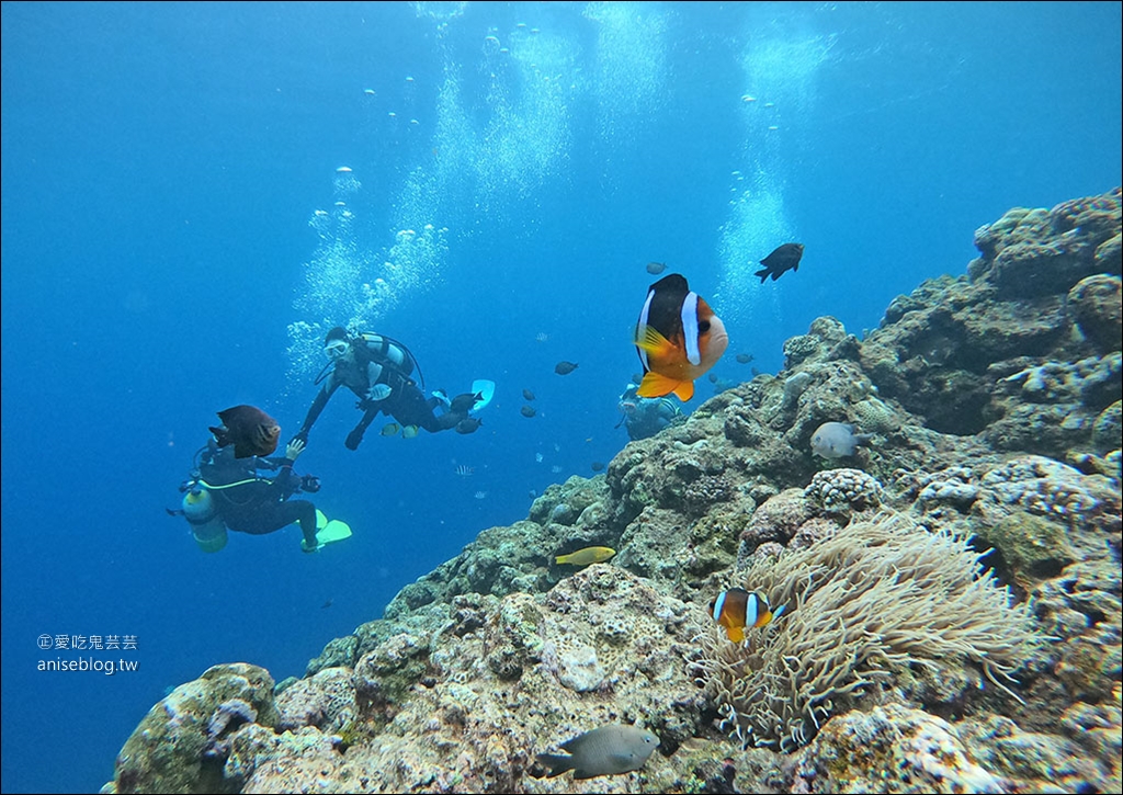沖繩青之洞窟潛水My Diving，怕水的妹子也挑戰成功啦！