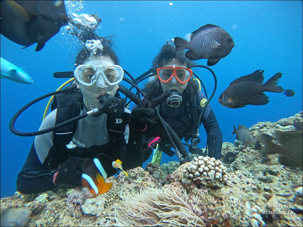 沖繩青之洞窟潛水My Diving，怕水的妹子也挑戰成功啦！ @愛吃鬼芸芸