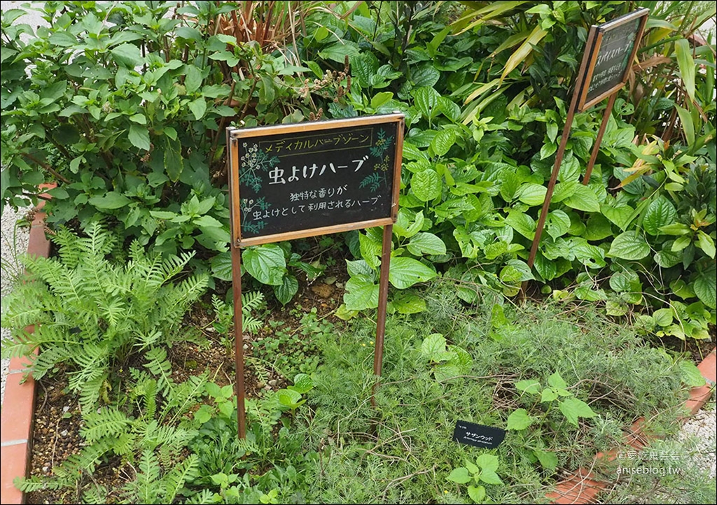 名護農業樂園 | 沖繩親子景點，美食、DIY、農場、名產購物一次滿足！