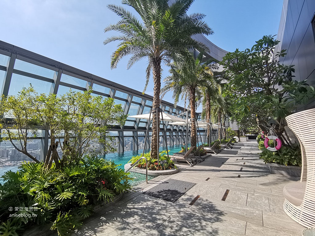 台北新板希爾頓酒店，絕美高樓層泳池俯瞰新北景觀