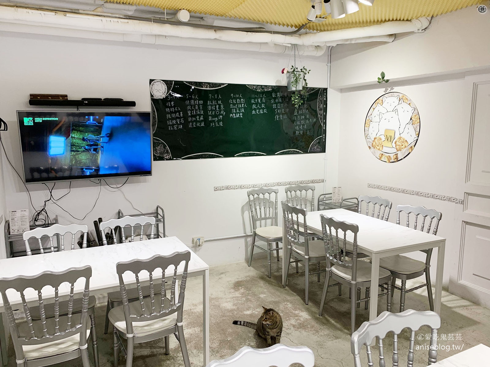 貓咪貓咪CATCAT 6S 台北東區桌遊旗艦店，包吃包玩交通方便，好友相聚的好地方！（跌倒阿姨食記）