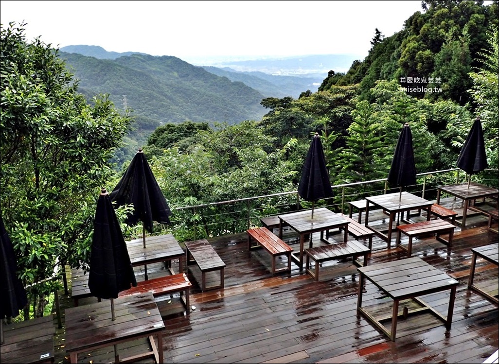 三峽熊空茶園，走一趟台北秘境森林下午茶吧！(姊姊遊記)