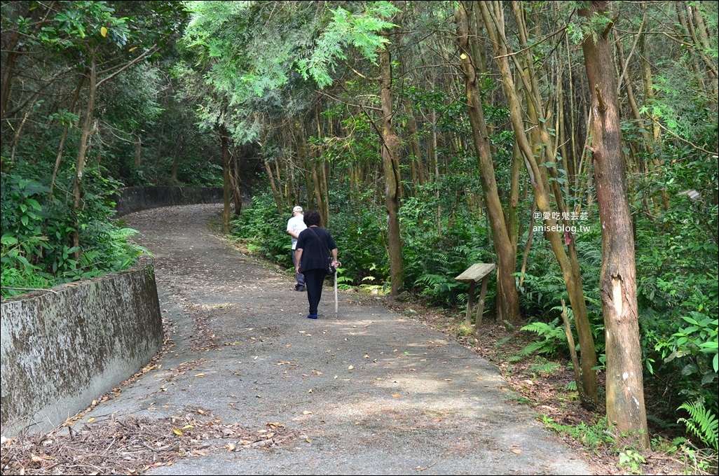 宜蘭步道總整理，超過30條親山近水一日遊行程(姊姊遊記)