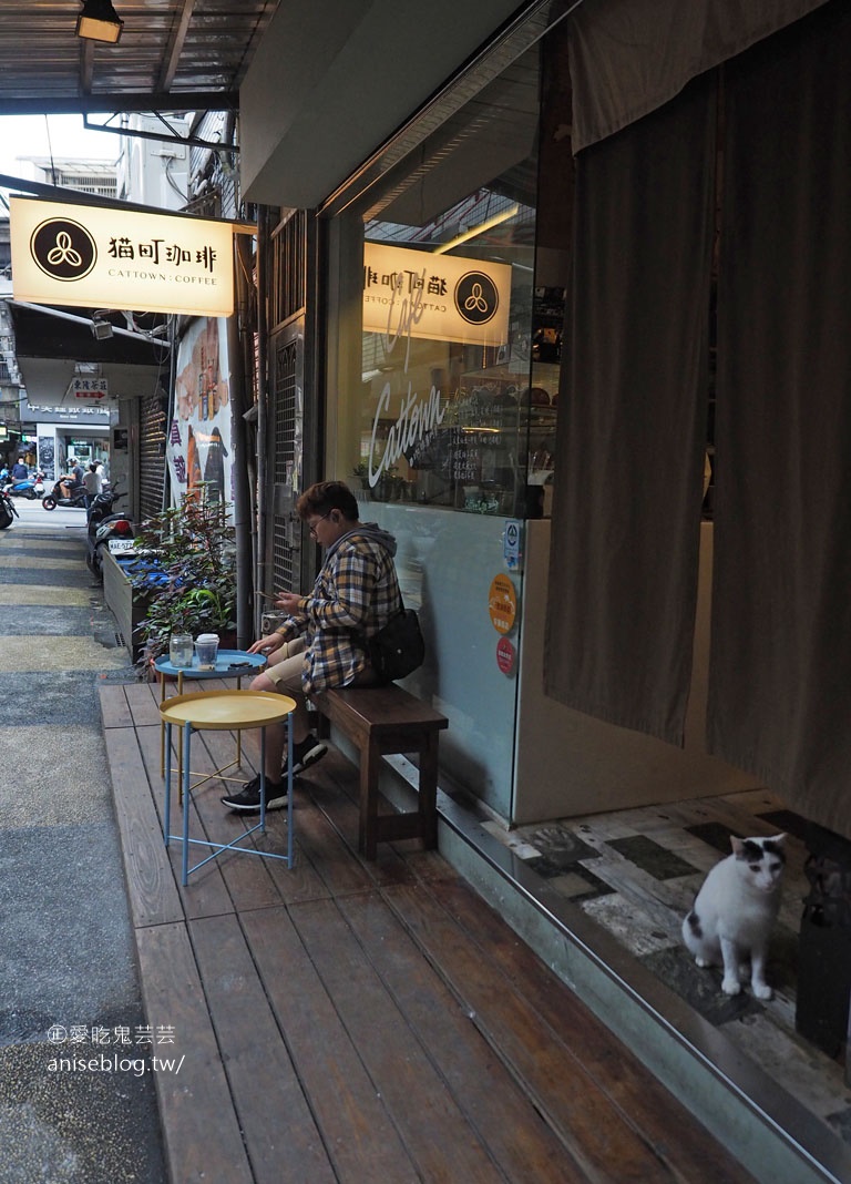 貓町咖啡，基隆巷弄內萌萌貓咪咖啡館，有吉古拉漢堡！