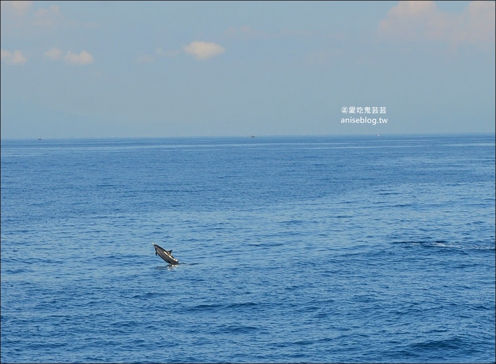 宜蘭賞鯨豚+龜山島登島+牛奶海，搭雙船底遊艇蘭鯨號(姊姊遊記)