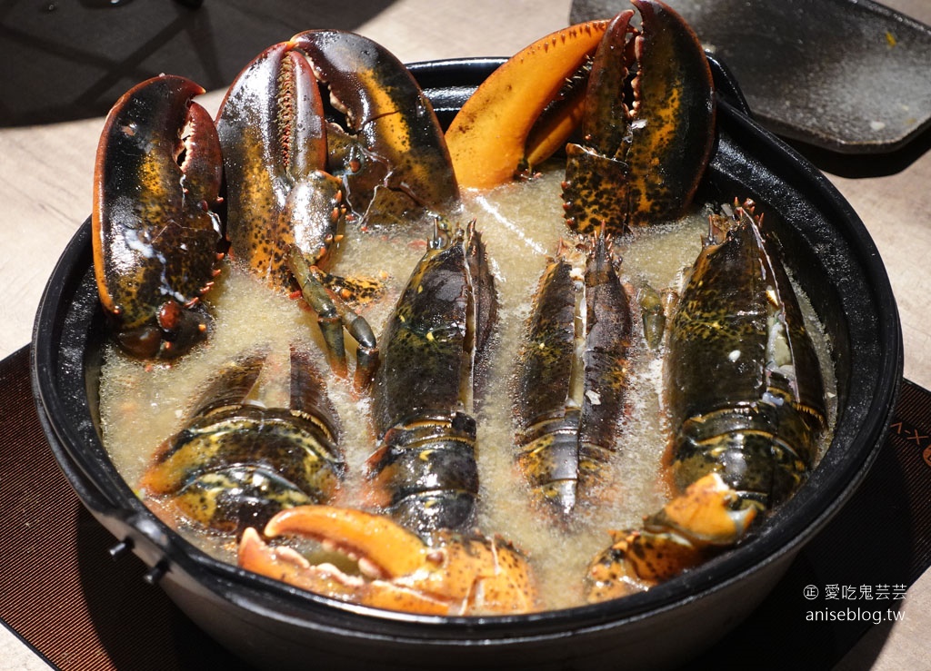 深紅汕頭鍋物 | 屠龍2.0活龍蝦痛風鍋，來自台中的超浮誇系火鍋 (請事先預約)