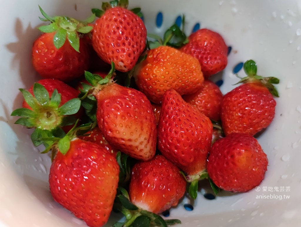 大湖草莓半日遊 | 春不老農園、花間集巨無霸草莓冰、醉心亭客家料理、卓也小屋書園子