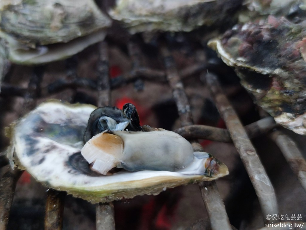 澎湖海洋牧場 | 牡蠣、鹹粥吃到飽，還可釣花枝、海鱺魚😍 (文末夜釣小管)