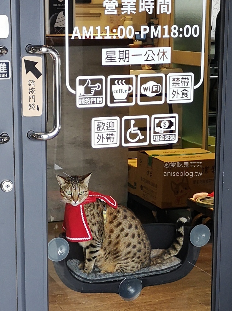 豹豹咖啡館·BoBoCafe，豹貓陪你喝咖啡，觀音山遊客中心(姊姊食記)