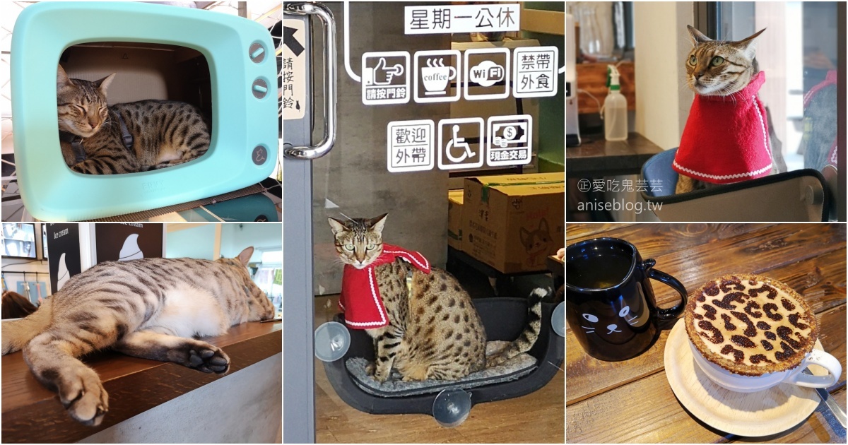 豹豹咖啡館·BoBoCafe，豹貓陪你喝咖啡，觀音山遊客中心(姊姊食記) @愛吃鬼芸芸