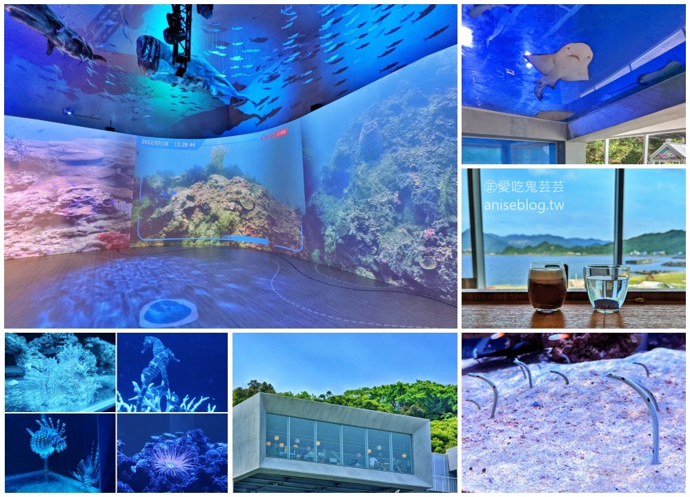 潮境智能海洋館，基隆最新室內景點，親子旅遊好去處(姊姊遊記)