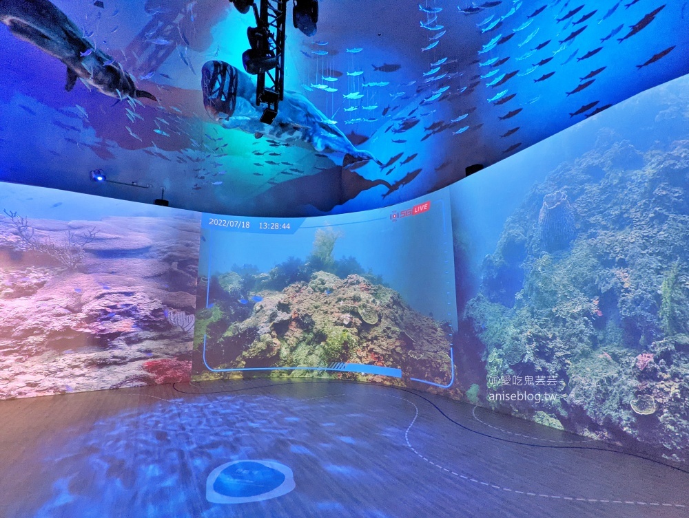 潮境智能海洋館，基隆最新室內景點，親子旅遊好去處(姊姊遊記)