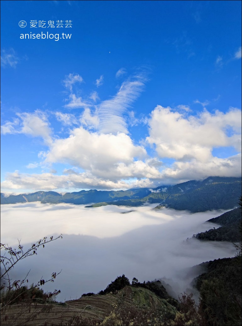 台灣好行觀霧線，暢遊雪霸農場、清泉五峰，絕美風景此生必來！(圖多)