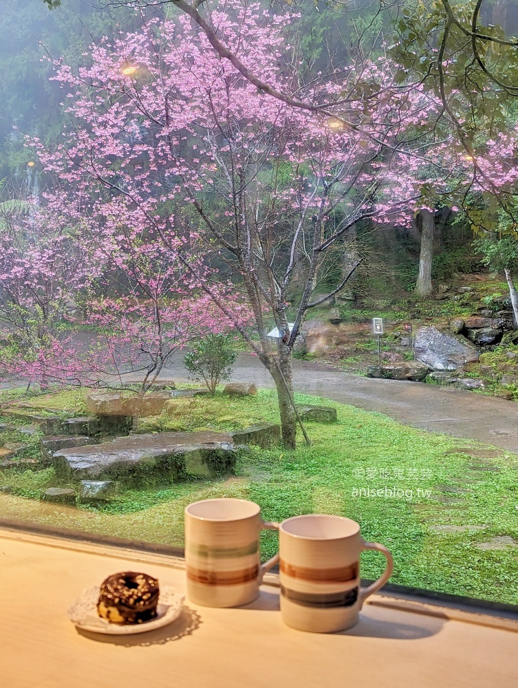 熊空茶園櫻花季，吉野櫻滿開時的夢幻場景(姊姊遊記)