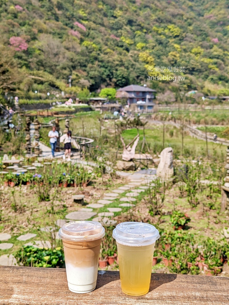 竹子湖海芋季，夢幻場景拍美照，名陽匍休閒農莊(姊姊遊記)