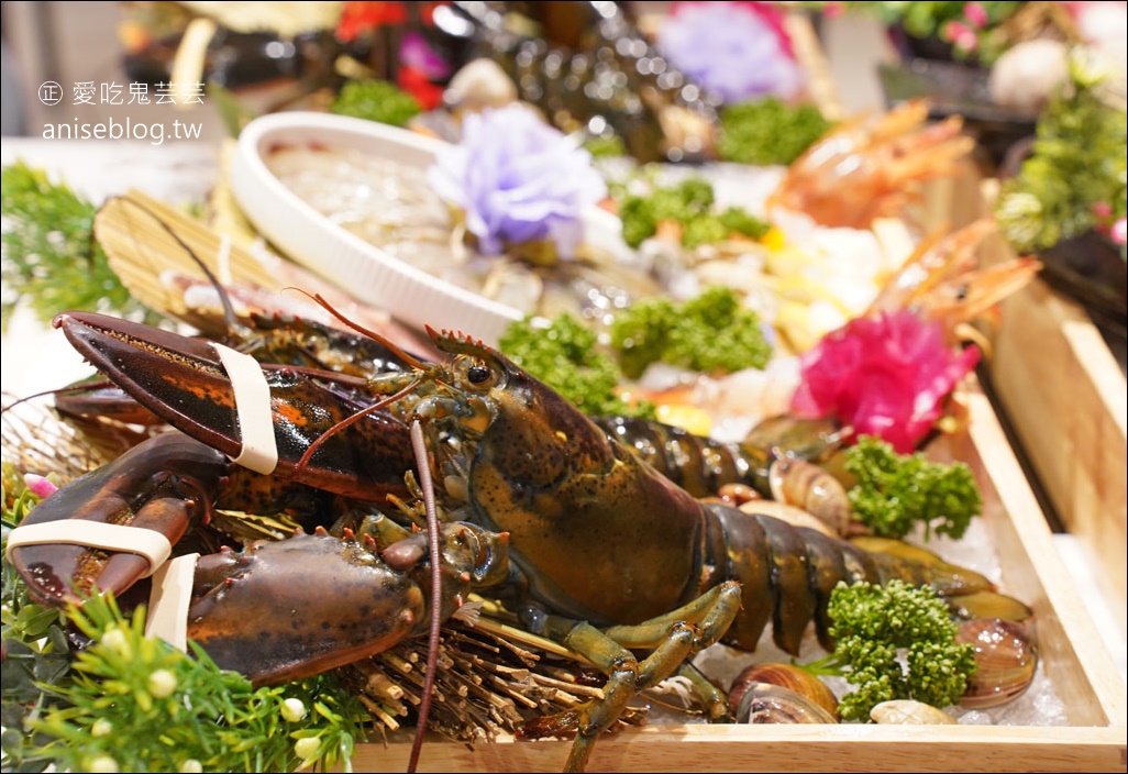 深紅汕頭鍋物SOGO敦化店開幕啦，試營運期間還送一斤蛤、龍蝦哦！