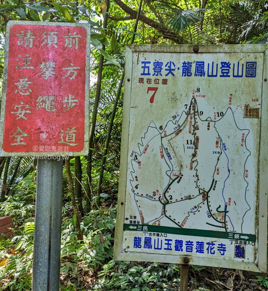 五寮尖登山步道，要手腳並用的拉繩攀岩路線，新北三峽景點(姊姊遊記)