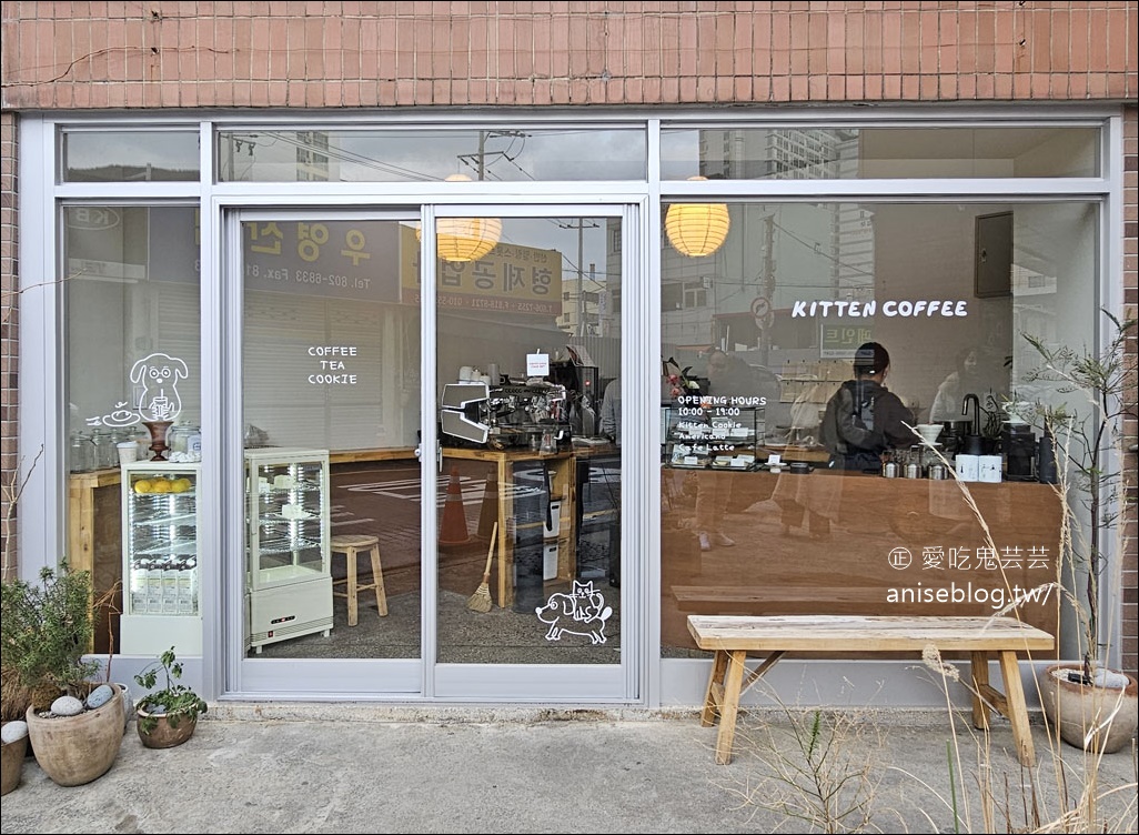 釜山田浦咖啡街 kitten coffee，超可愛小狗蛋糕，這家店是可愛專賣店吧！