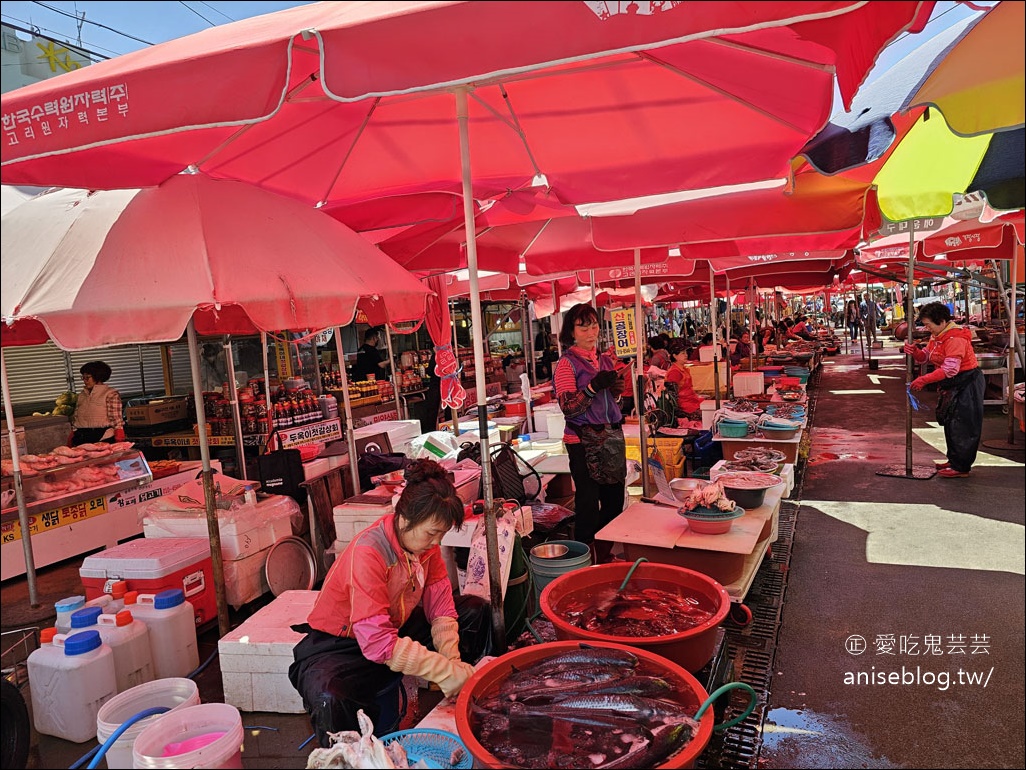 機張市場 | 帝王蟹、鱈場蟹、秋葉蟹、鮑魚、扇貝平價又好吃！
